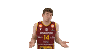 Hoops Koripallo Sticker by Basket_fi