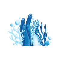 Actnow Corals Sticker by United Nations