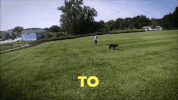 GIF by Make-A-Wish Greater Los Angeles