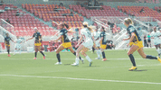Soccer Goal GIF by OL Reign