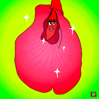 lady parts GIF by gifnews