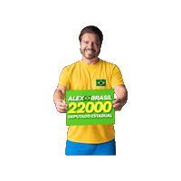 deputadoalexbrasil 22 bolsonaro flavio bolsonaro carlos bolsonaro Sticker