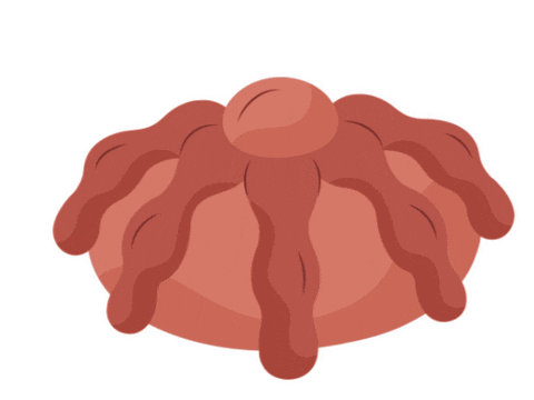 Así Sabe Recordar Sticker by Mole Doña María