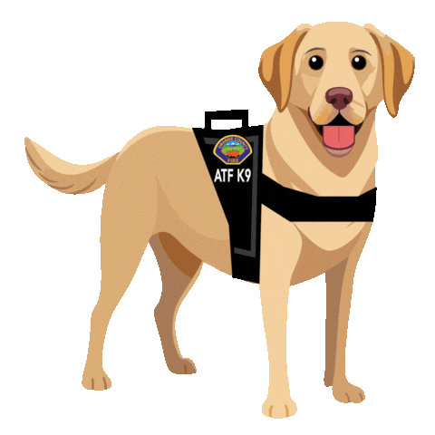 Oc Fire Authority Sticker by OCFA