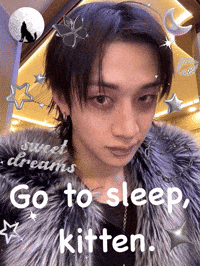 Go To Sleep Kitten GIF