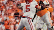 Football College GIF by Tennessee Athletics
