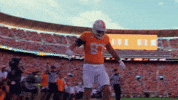 Football College GIF by Tennessee Athletics
