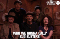 imacelebrityau GIF by I'm A Celebrity... Get Me Out Of Here! Australia