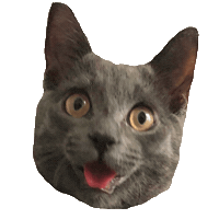 Happy Cat Sticker
