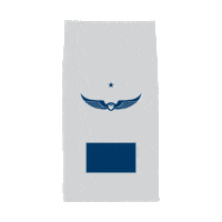 Celebration Coffee Sticker by IntelligentsiaCoffee