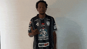 Hang Loose Futbol Mexicano GIF by Club Pachuca Tuzos