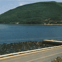 On My Way Summer GIF