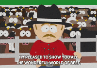 GIF by South Park 