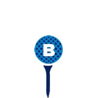 Bushblazerbash Sticker by TheBushSchool