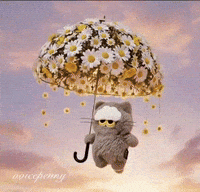 G Dragon Cat GIF