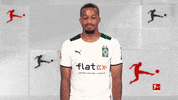 Wondering Borussia Moenchengladbach GIF by Bundesliga