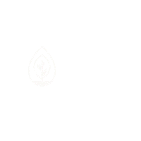 Seedlingdigital seedling digital Sticker