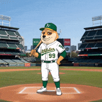 Shiba Inu Baseball GIF by Doge Pound