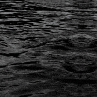 Sinking All Aboard GIF by TeaCosyFolk