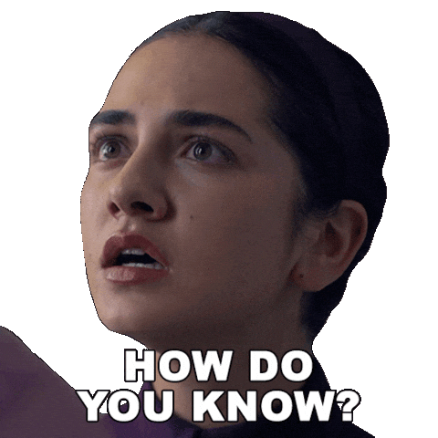 How Do You Know The Testaments Sticker by HULU