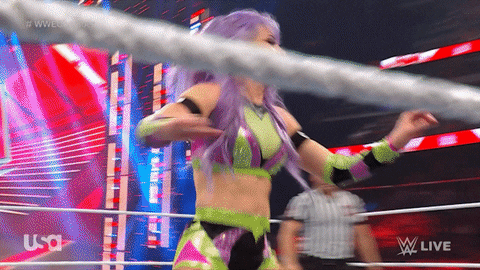 Wwe Wrestling GIF by USA Network
