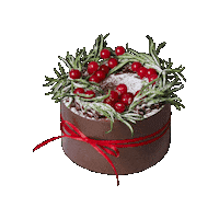 Christmas Cake Sticker by Cafe Knotted