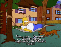 homer simpson GIF