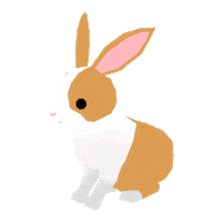 Rabbit うさぎ Sticker