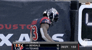Regular Season Football GIF by NFL