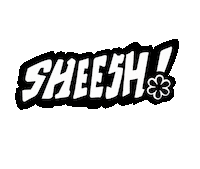 Sheesh Sticker by Gandc