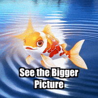 Wisdom Perspective GIF by TheConfishius