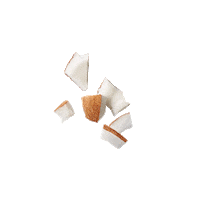 Coconut Quakernl Sticker by IMA - Influencer Marketing Agency