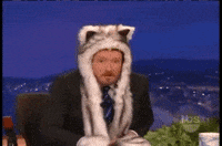 SpiritHood cat cats kitty meow GIF