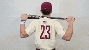 Baseball Roll Pards GIF by Lafayette Leopards