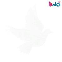 Peace And Love Bird Sticker by BOLO LIVE