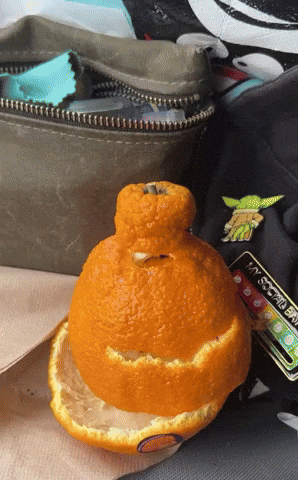 StillNotAHippie orange citrus mandarin orange sumo citrus GIF