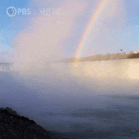 Explore Pbs Nature GIF by Nature on PBS