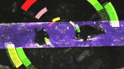 Post Animal GIF by Polyvinyl Records