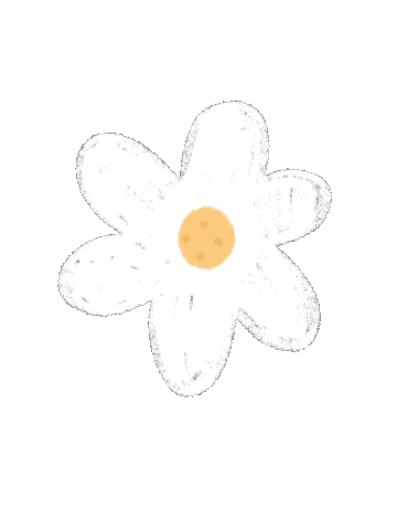 Spring Daisy Sticker