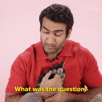 What Was the Question?