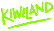 New Zealand Kiwi Sticker by Norriseph