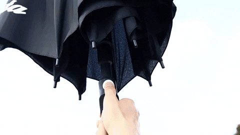 majorworld giphygifmaker GIF