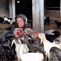 Doğa GIF