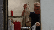 yell gordon ramsay GIF by Gordon Ramsay's 24 Hours to Hell and Back