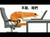 What Wtf GIF