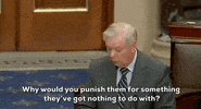 Lindsey Graham GIF by GIPHY News