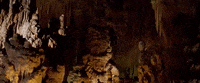 arkansas GIF