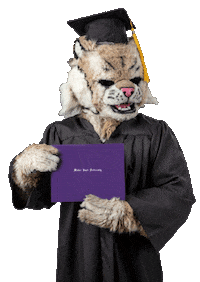 Weber State College Sticker by Weber State University
