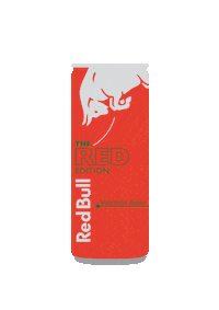 Summer Gives You Wiiings Sticker by Red Bull