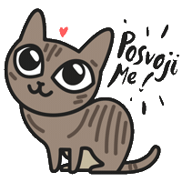 leavuc cat kitten adopt adoption Sticker